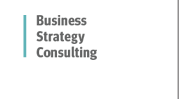 Business Strategy Consultation